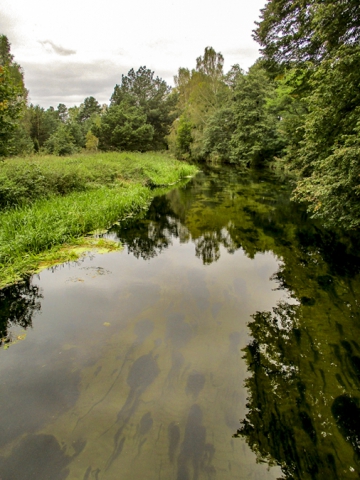 nad rzeką